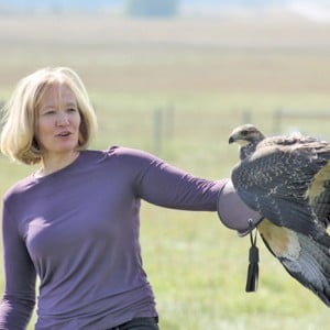 Laureen Harper released four rescued Swainsons hawks into the wild at the event.
