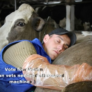 man hugging a cow
