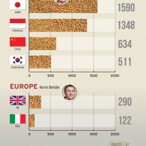 wheat graphic
