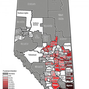 map of 2014 fusarium infection in Alberta