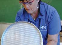 Dockage is the No. 1 concern for canola growers, and sieves are sometimes the culprit, according to Judy Elias of the CGC.
