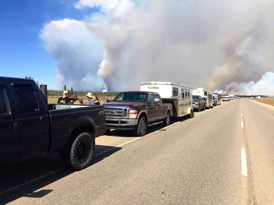 A group of truck lovers called Western Canadian Powerstrokes helped haul trailers and rescue horses from the Fort McMurray wildfire.
