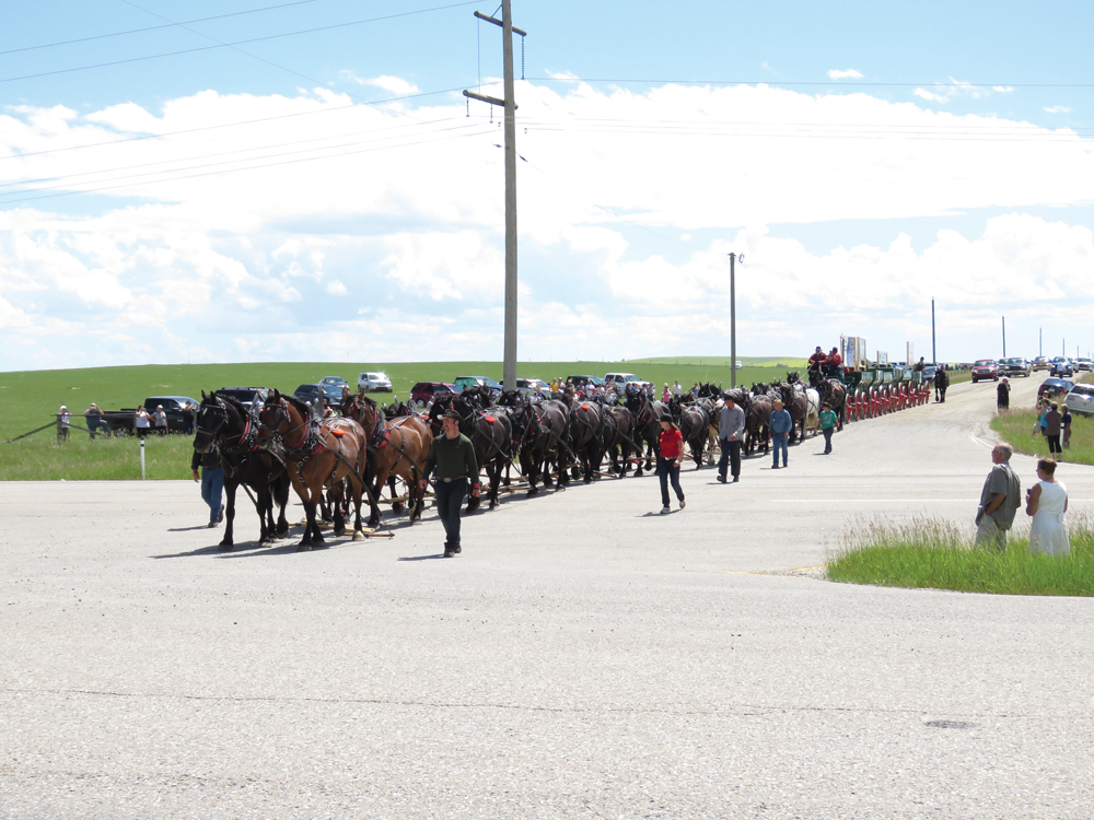 Drivers take in the ‘Big Hitch’ crossing the Trans-Canada Highway.