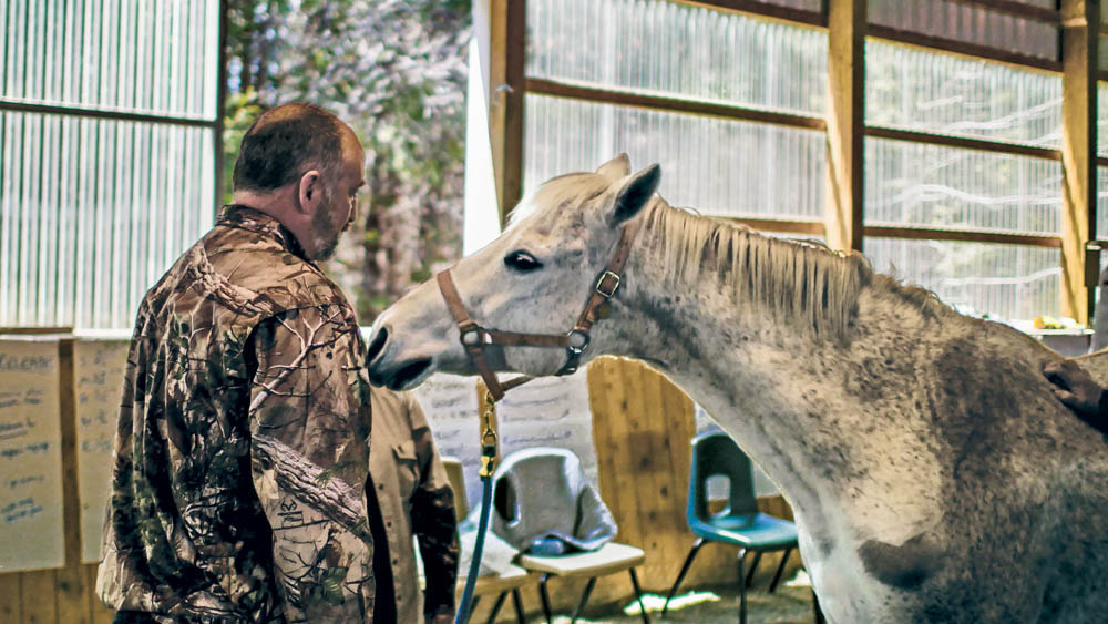 A veteran and a horse engage in an exercise in Can Praxis, an equine-based therapy course that helps Canadian Forces veterans overcome PTSD.