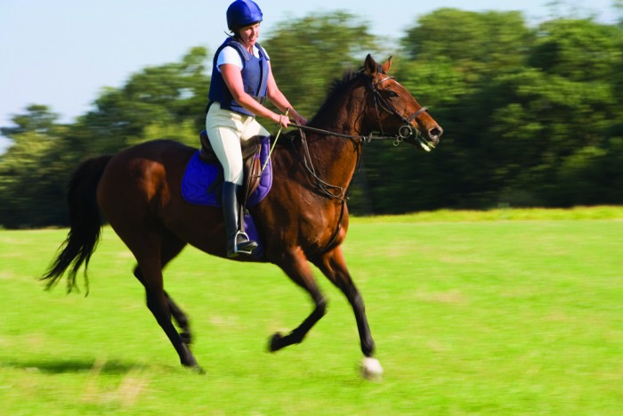 New equine biosecurity guide for horse events
