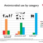 Chart showing the antimicrobial use of different species.