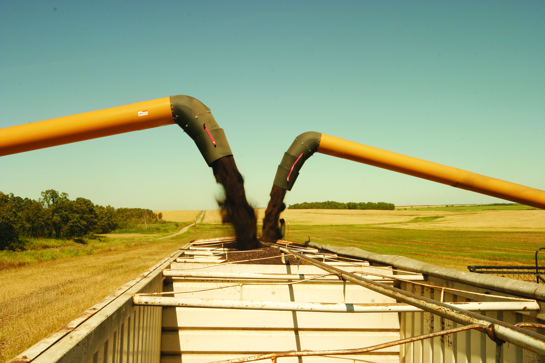 Two augers filling canola bin.