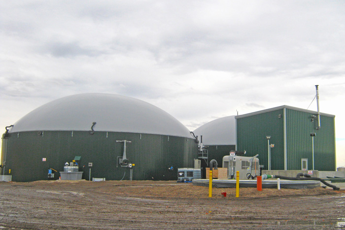 bioenergy plant
