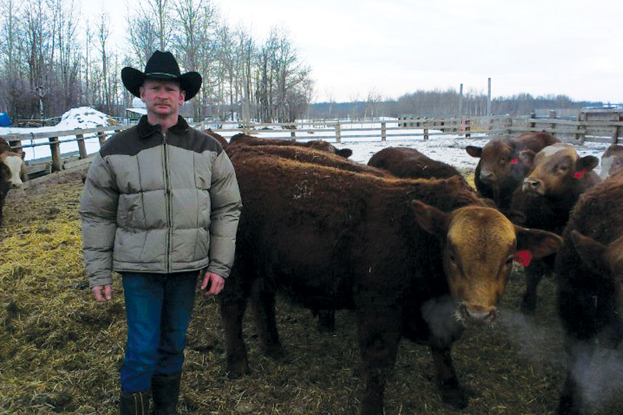 Man in cowboy hat standing with cattle.