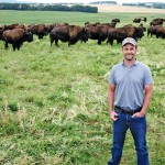 Man standing in a field of buffalo.