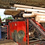 Logstream Ltd. operator Omer Rivard sorts logs that will be manufactured into fence posts.