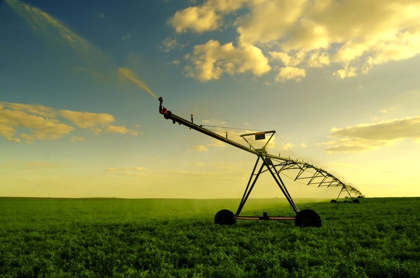 Irrigation equipment in a farmer's field
