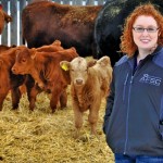 High cattle prices also mean an increased risk of a sharp price drop, says Alberta WLPIP co-ordinator Brenda Hagen. Photo: