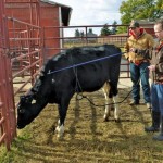 Students get hands-on experience in the Animal Sciences Technology program at Lakeland College.