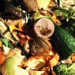 food waste