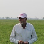 Grazing consultant Jim Gerrish says that leaf stage, not plant height, is the best indicator of when a pasture is ready to graze.
