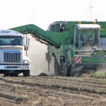 Unlike other potato-growing areas, Alberta acreage has held steady.
But producers fear cuts to their contracts may be coming.
