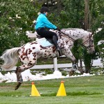 Kristyn O’Byrne, of Calgary, hangs on as her Appaloosa, named Yor Pleasure Cruise, chooses to leap across the water ditch during the trail obstacle course.