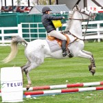 horse and female rider
