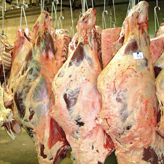 The campaign to whitewash farm and ranch vocabulary