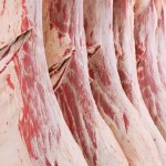 A recent study found breeding cattle for carcass quality traits over the long run can help put serious coin in cow-calf producers' pockets.