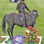 horse and female rider