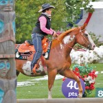 horse and female rider