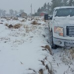 Brandon Gibb’s fields were covered in snow on Sept. 10 and 11.