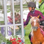 horse and female rider