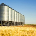grain bins in a field
