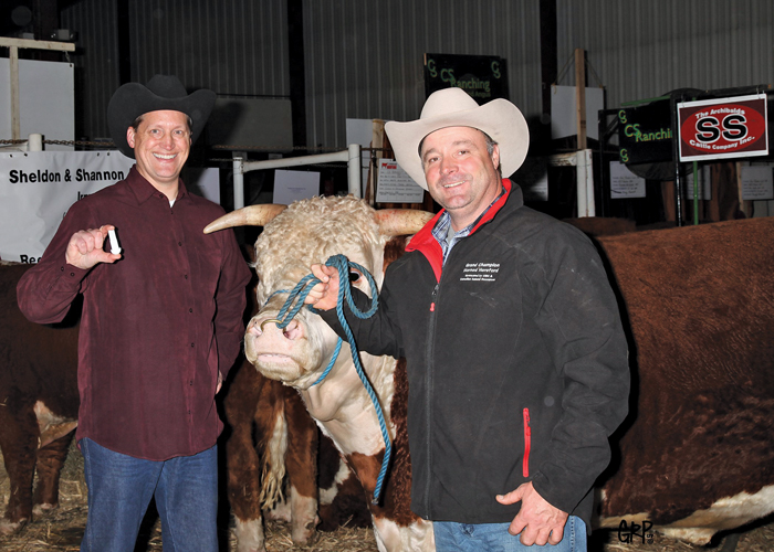 two men standing with a bull