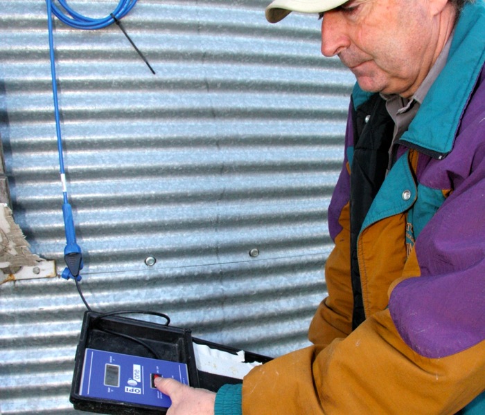 checking canola in a storage bin