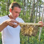 man with card full of bees and honey