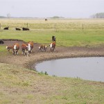 agricultural dugout
