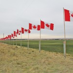 The 116 flags flying along Highway 11 outside of Sylvan Lake are in remembrance of 116,000 Canadian war dead from 1900 to 2014.