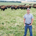 man standing with a herd of bison