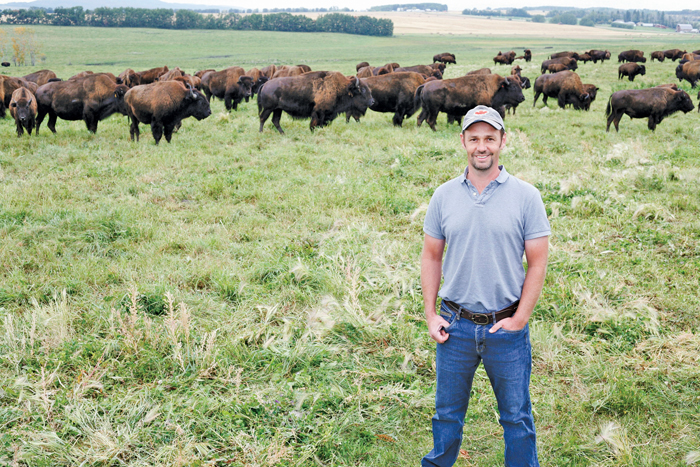 man standing with a herd of bison