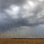 Soil moisture in Alberta improves after wet fall