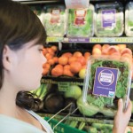 woman grocery shopping