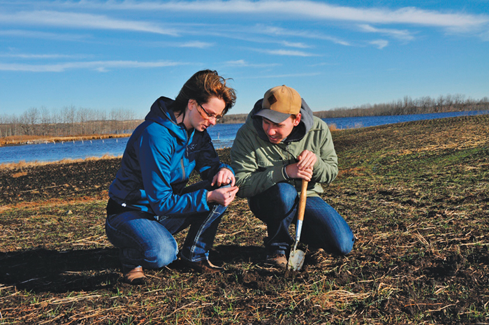 Janine Paly and student Kris Vaculchik assess a winter wheat project near Vermilion conducted by Ducks Unlimited Canada and Lakeland College last year.