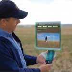 Canola council offers tips for better establishment