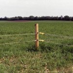 This is how we used to fence in the ’80s — low wires and overbuilt.