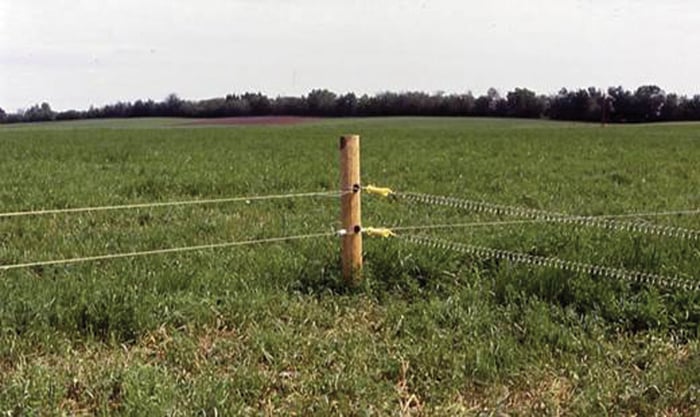 This is how we used to fence in the ’80s — low wires and overbuilt.