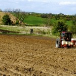 tractor planting a crop in a field