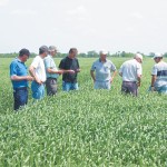 people in a field crop