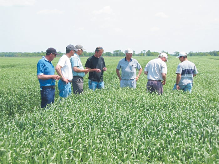 people in a field crop