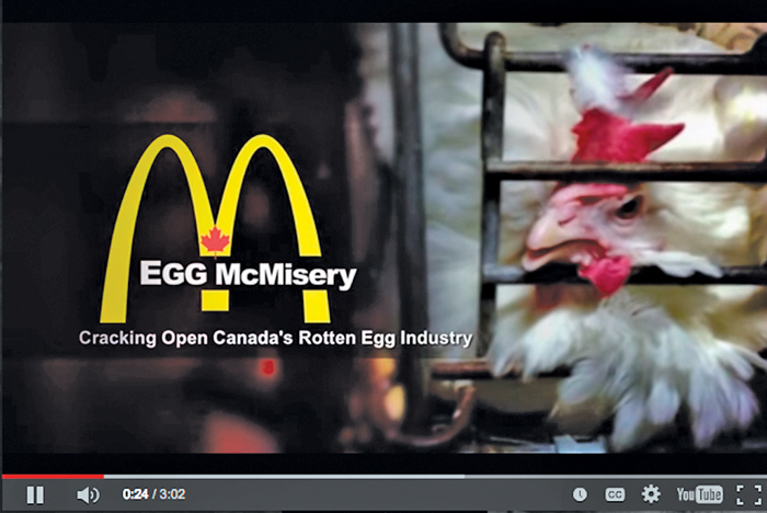 The written zero tolerance pledge was already in the works when this Mercy for Animals undercover video made national headlines in 2013, say Egg Farmers of Alberta officials.