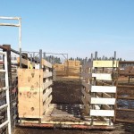 bison weighing system