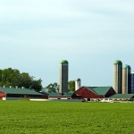 farm with red barns