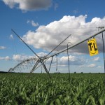 Low-pressure centre pivot systems greatly increase water-use efficiency.